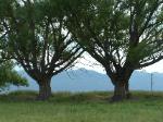 Salida Colorado Vacant Land for Sale