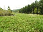 San Isabel National Forest Land for sale.