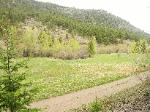 Salida Colorado mountain property for sale.