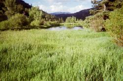 Salida fishing property